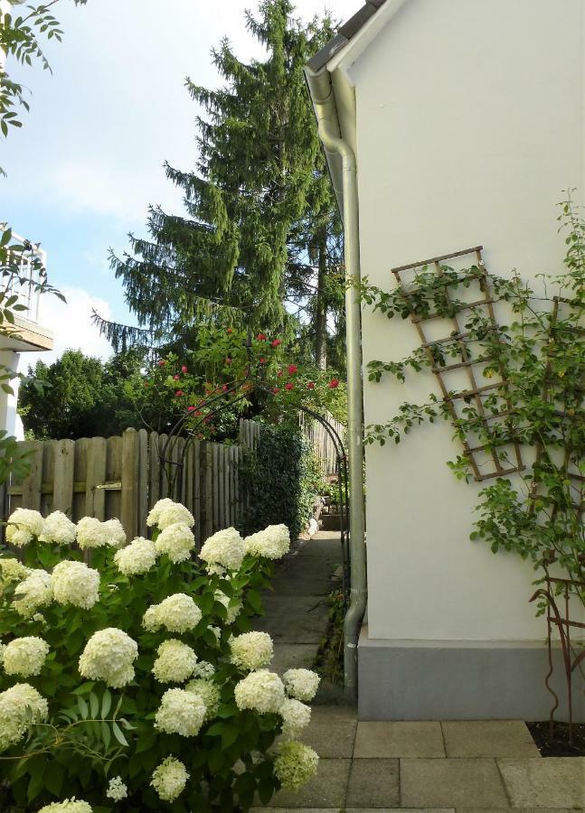 Schwalbennest Apartment Geesthacht Exterior photo